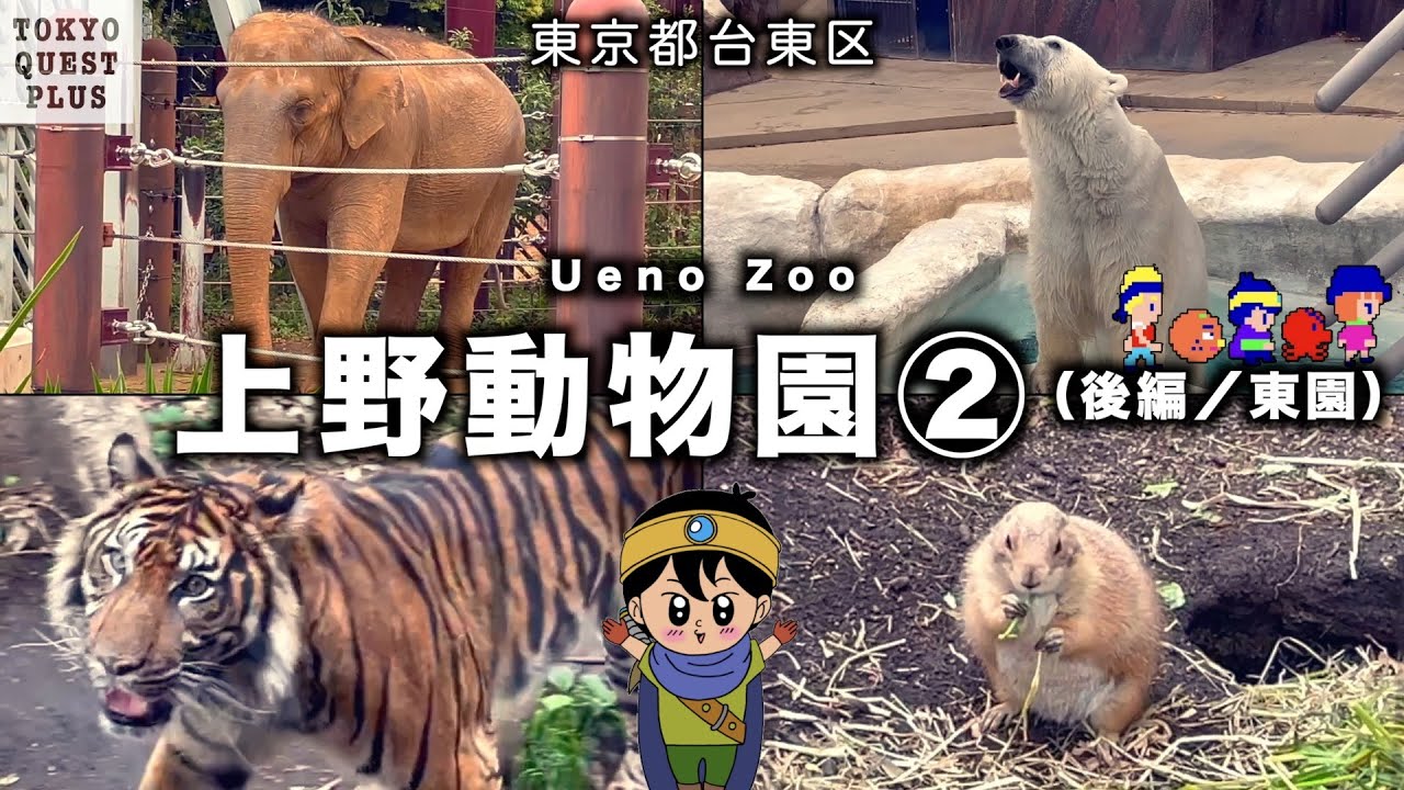 【上野動物園②(後編／東園)】ゾウ、クマ、トラ、ゴリラ、サル山、猛禽類、プレーリードッグに五重塔など…魅力いっぱいの「東園」を冒険。（東京都台東区上野公園）