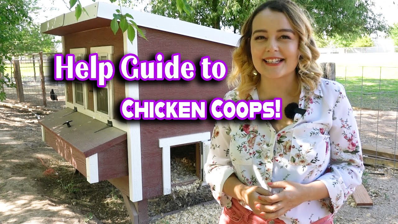 Chicken Coops, What Works