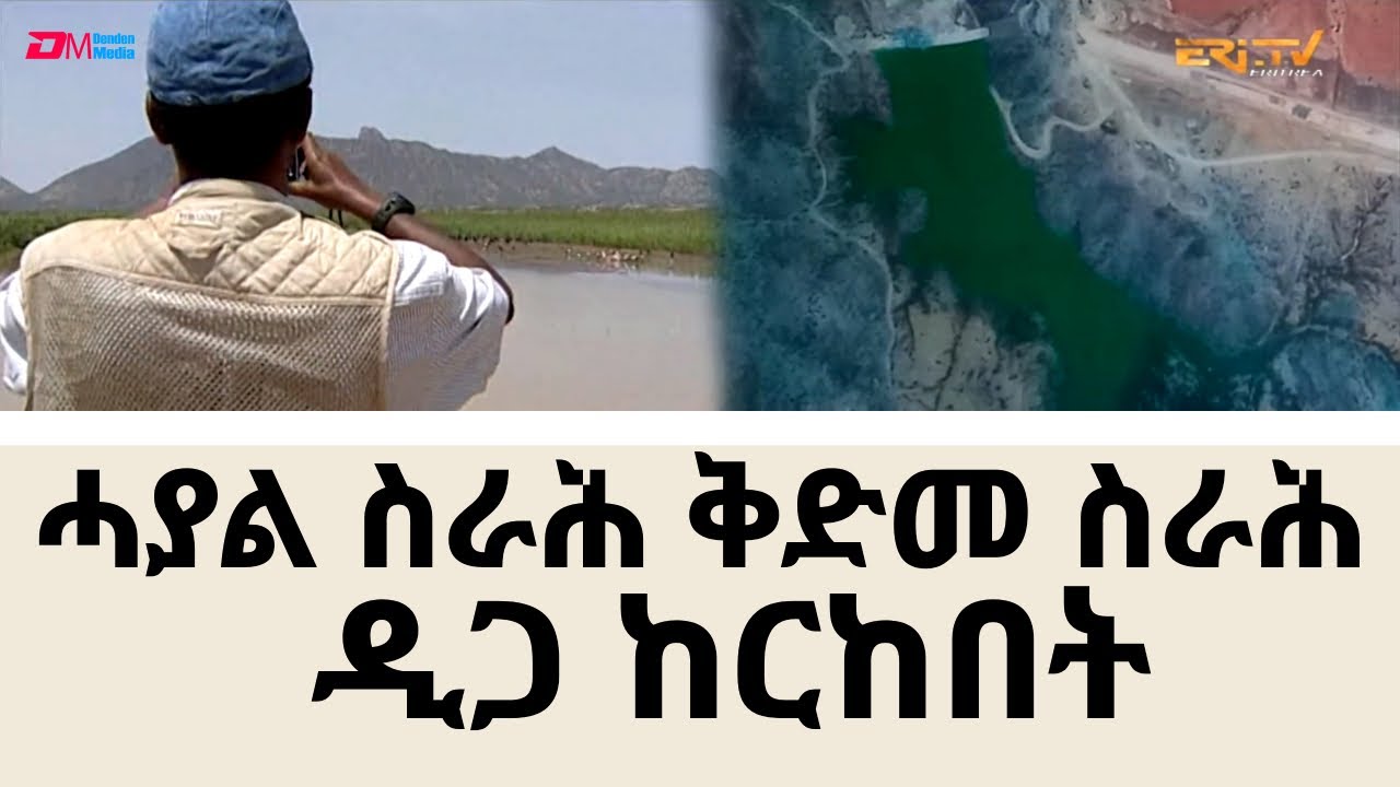 መኣዝን ልምዓት፡ ሓያል ስራሕ ቅድመ ስራሕ ዲጋ ከርከበት - ERi-TV