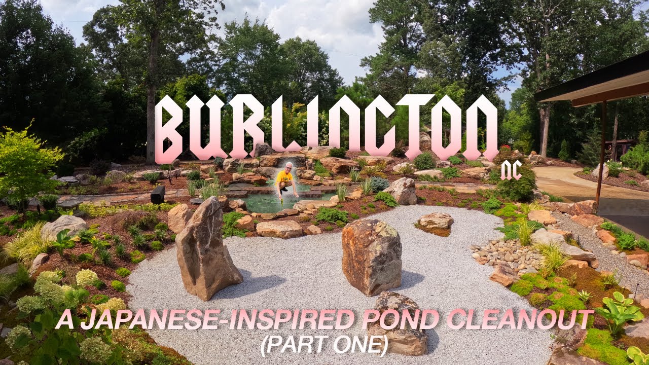 TRADITIONAL JAPANESE-INSPIRED POND CLEANOUT LEADS TO STREAM TRANSFORMATION | Part One: The Cleaning