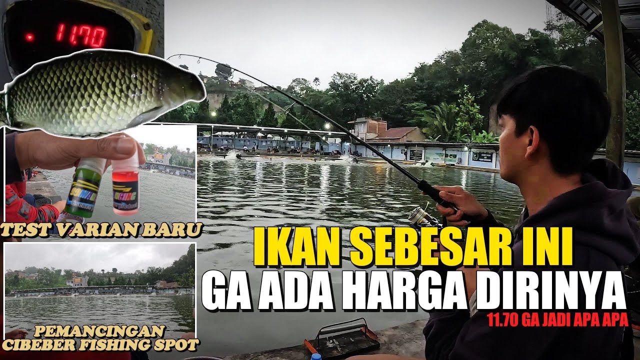 GALATAMA IKAN MAS DI PEMANCINGAN CIBEBER FISHING SPOT CIMAHI | KETIKA LUPA BAWA ESSEN ANDALAN