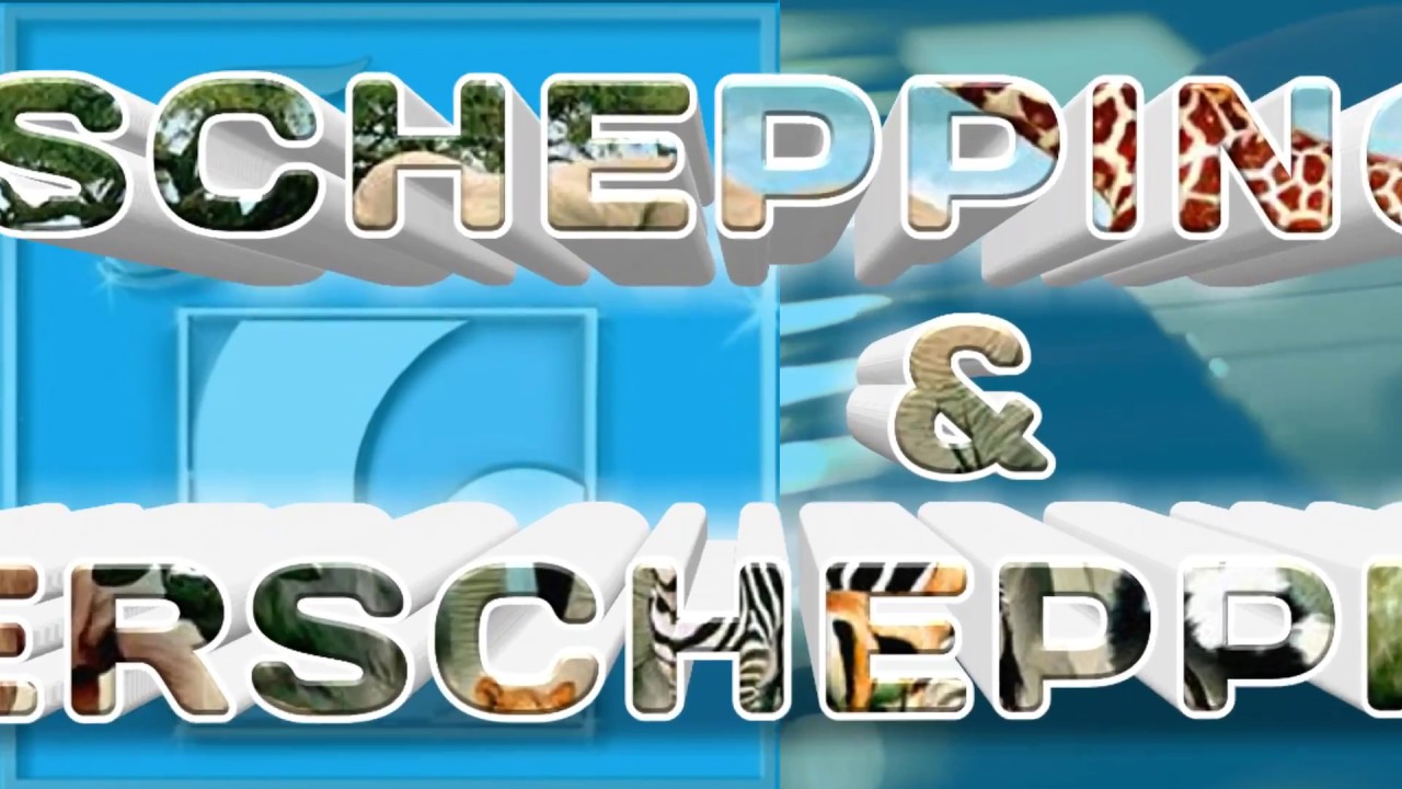 SCHEPPING & HERSCHEPPING