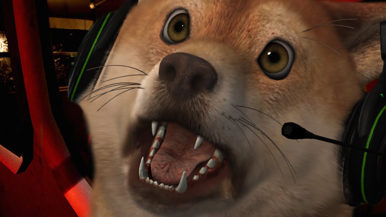 DOG PLAYS NIGHTMARE SHIFT