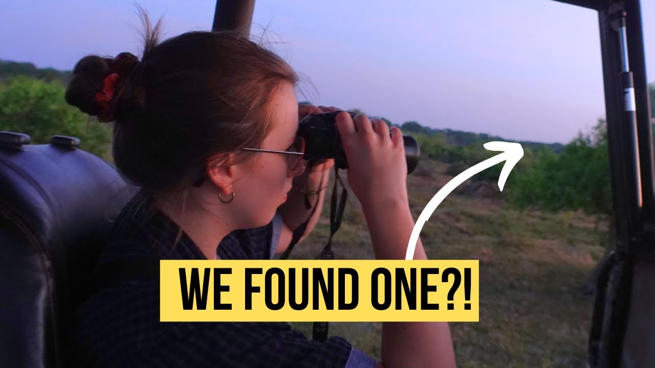 Our FIRST SAFARI at YALA, SRI LANKA - What can you see?! 🇱🇰