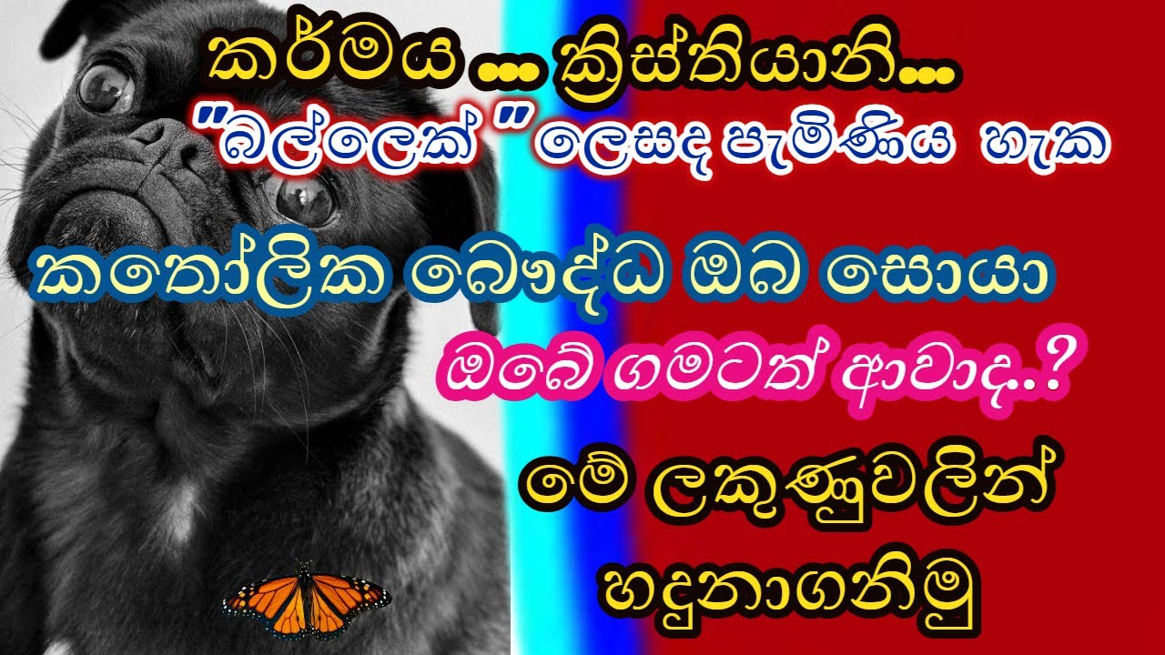ක්‍රිස්තියානි.. 