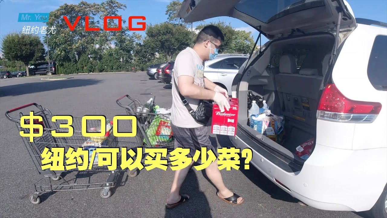 老尤VLOG：纽约华人超市$300可以买多少菜？