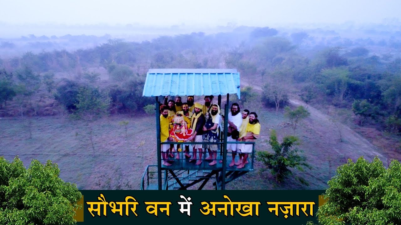 सौभरि वन में अनोखा नज़ारा