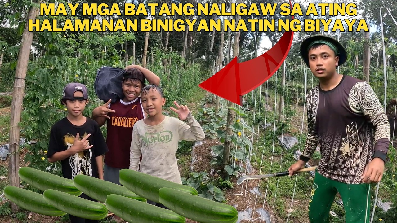 MGA BATA NALIGAW SA ATING HALAMANAN BONDING MUNA BAGO SILA UMUWE