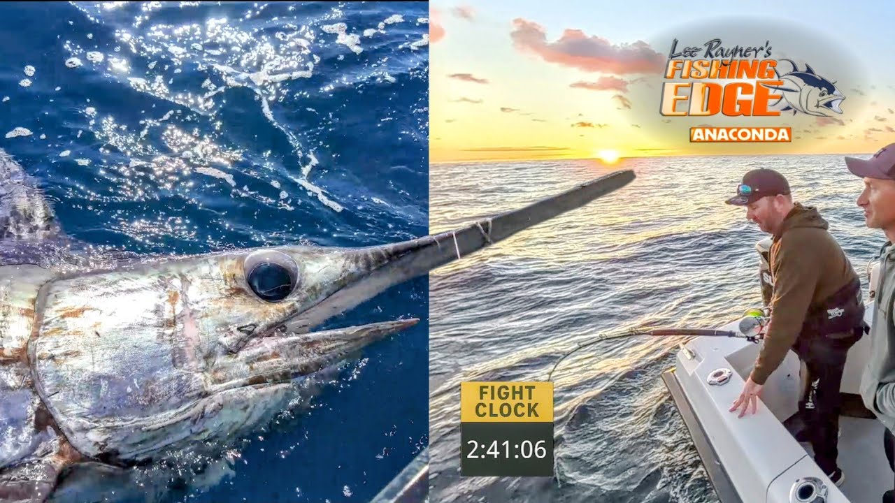 Chasing Monsters Down 500m - Big Swordfish & Thresher Shark