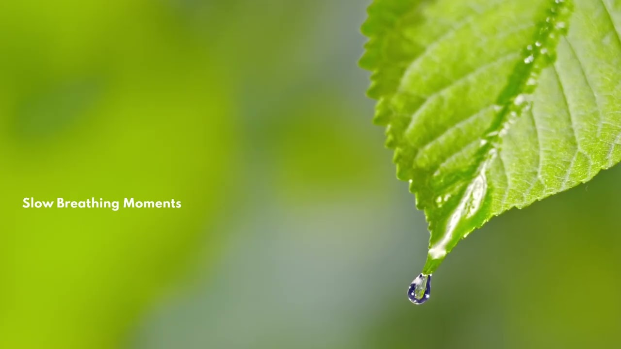 Relex Music: Slow Breathing Moments