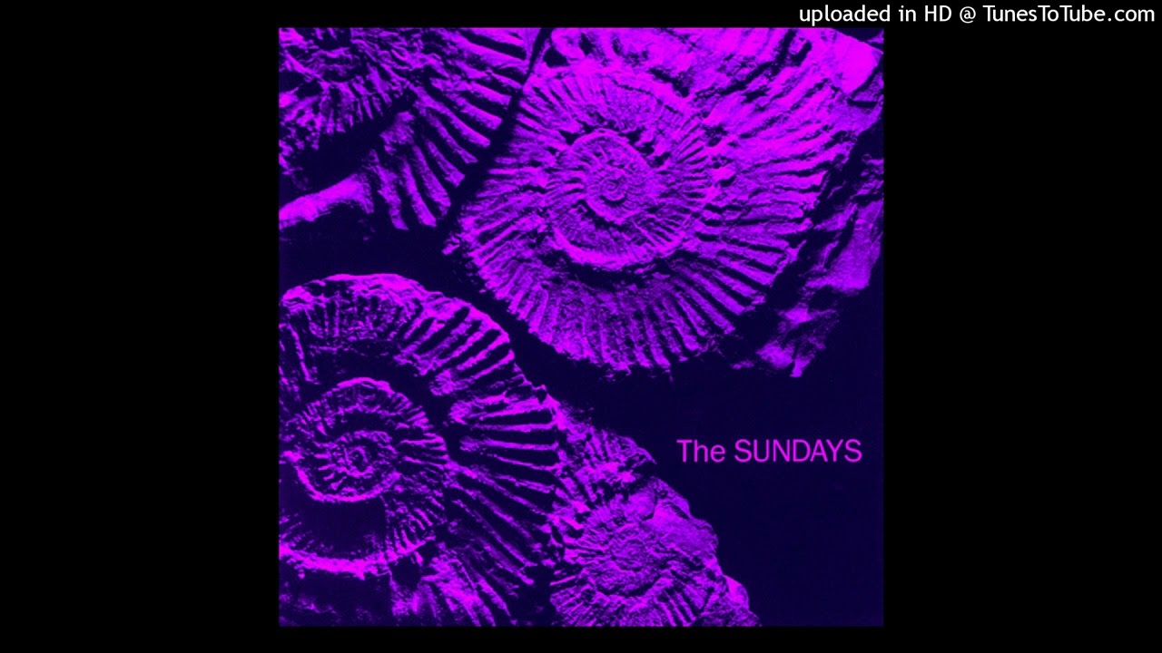 The Sundays - You're Not The Only One I Know (Acapella)