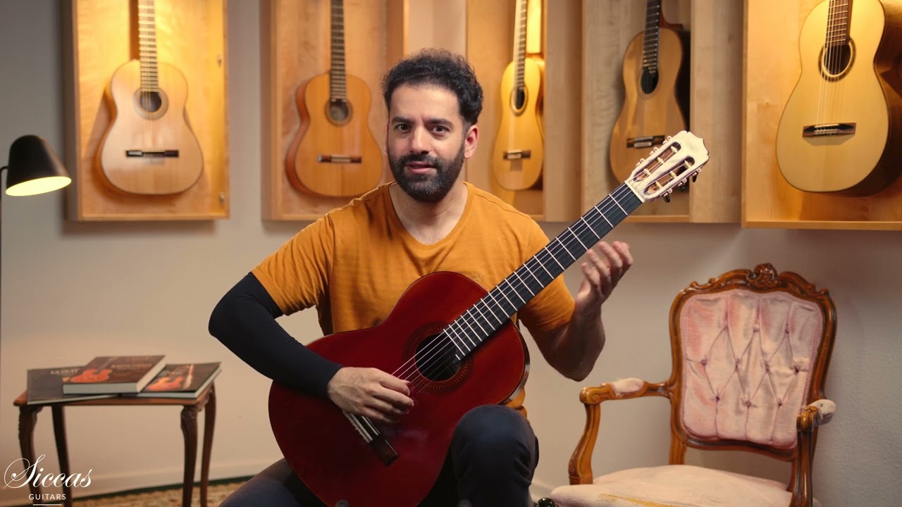 Saeid Aboutalebian 2025 No. 62 Doubletop Classical Guitar Review