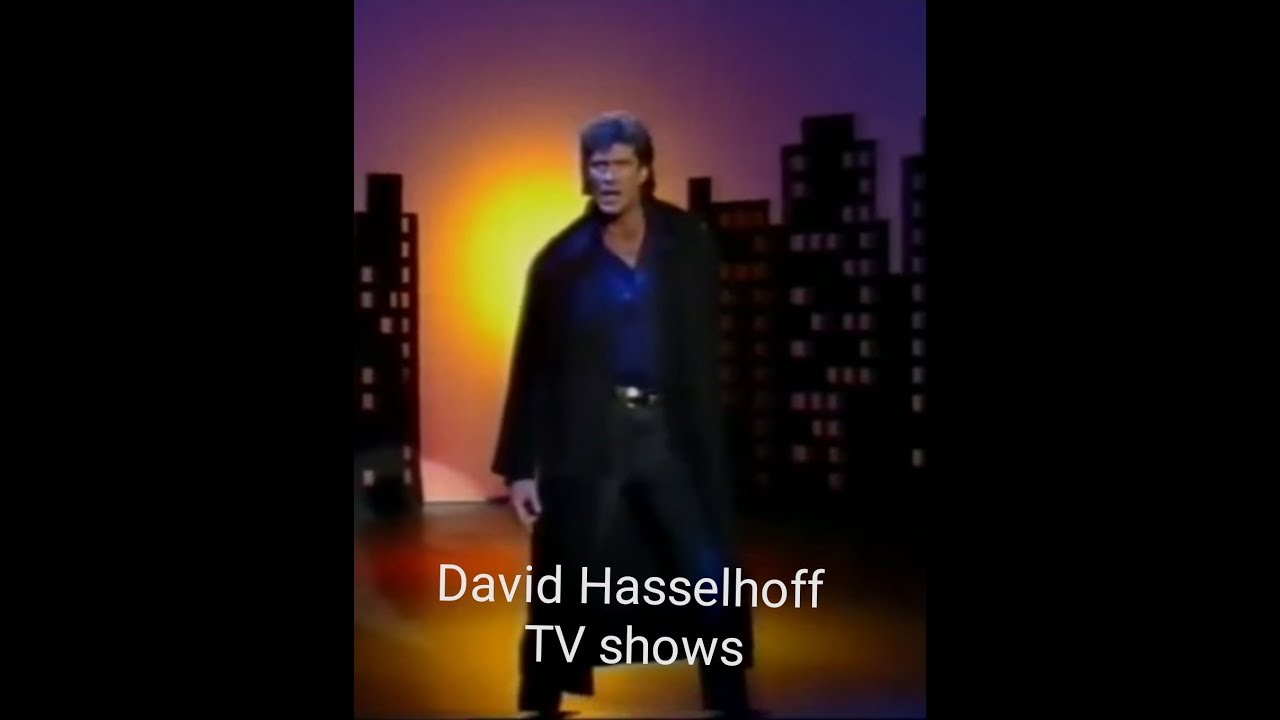 David Hasselhoff (TVshows)