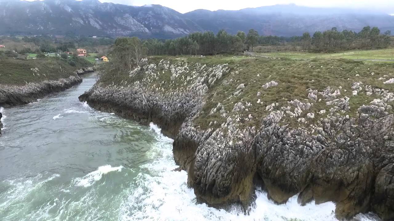 VIDEO GUADAMIA