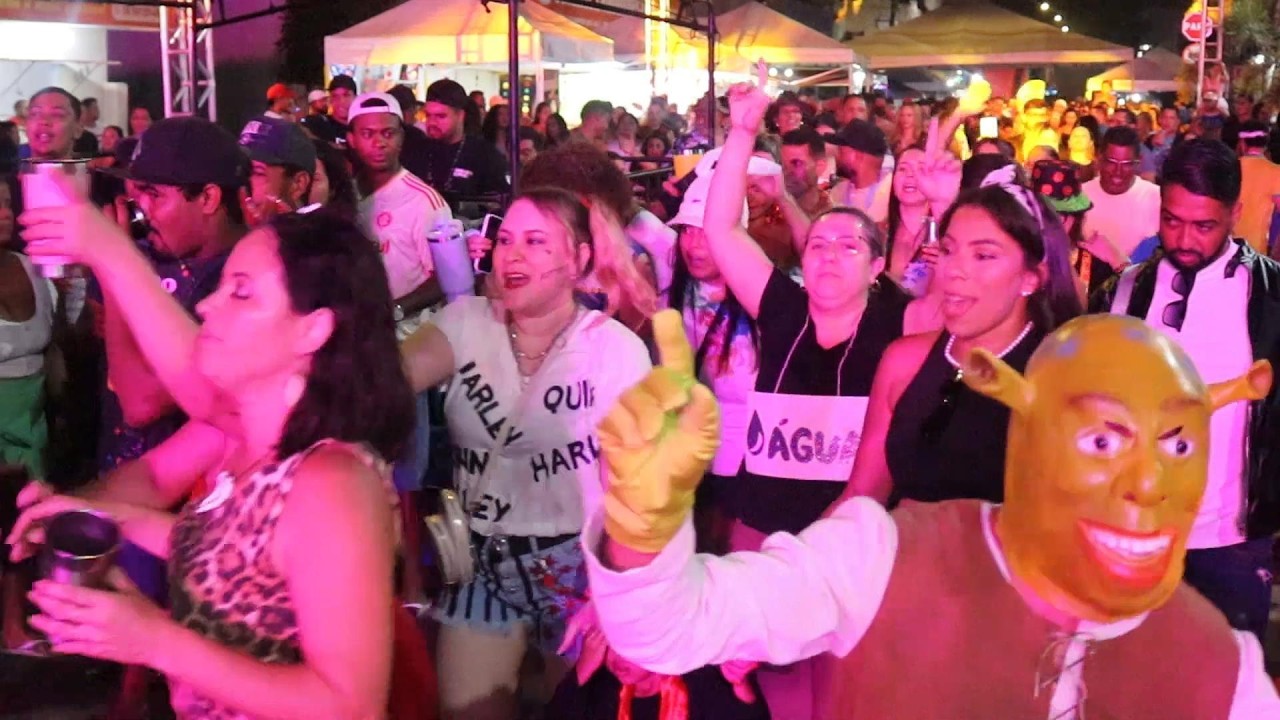 Foliões se divertem pra valer na penúltima noite do Carnaval de Brasília de Minas