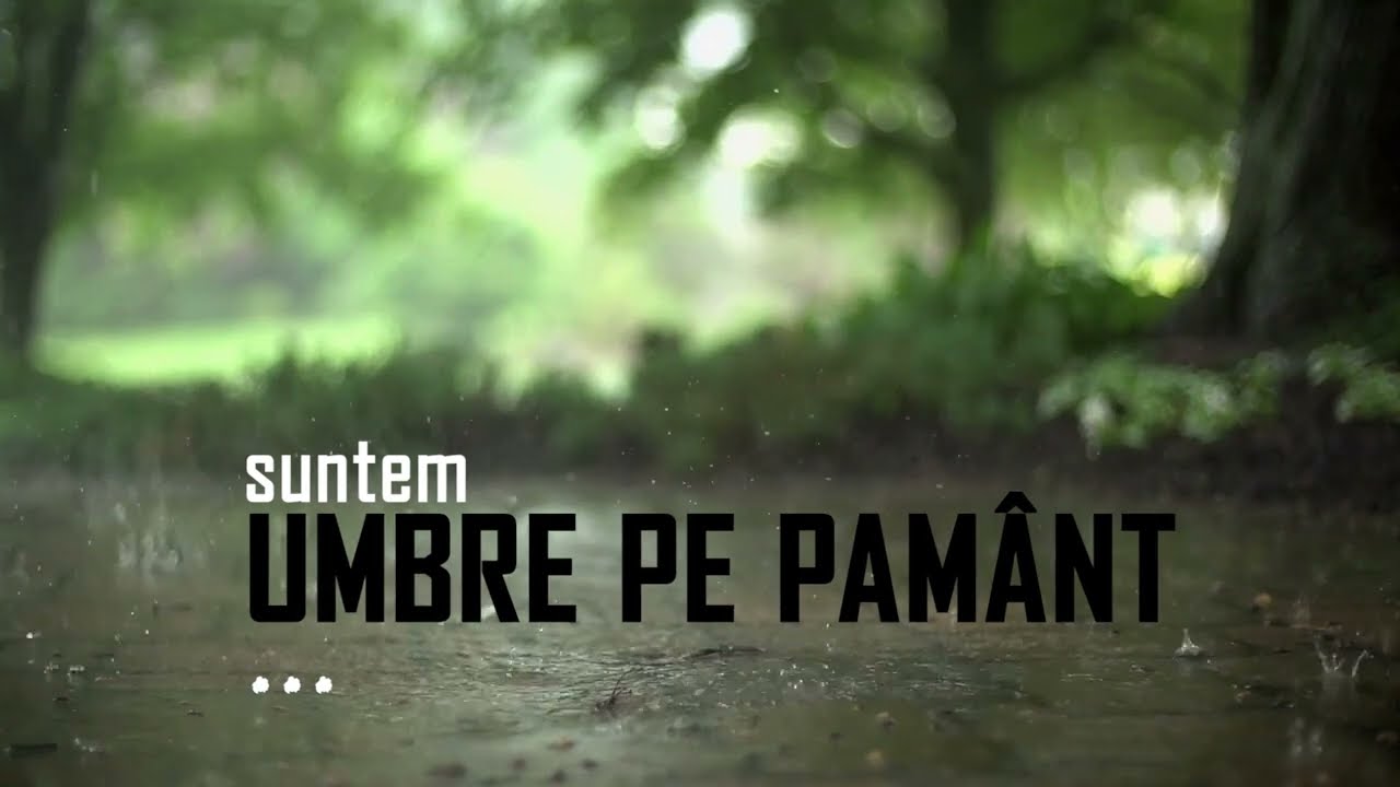 Luigi Popescu - Umbre pe Pământ