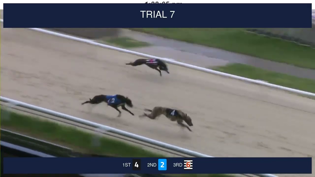 Central Park Trials on 5th February 2026