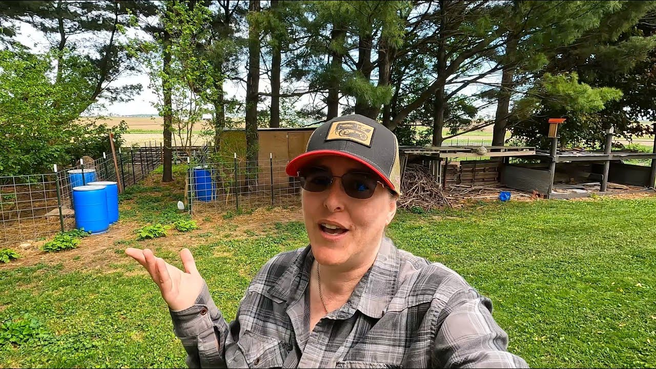 Illinois Homestead Tour (Growing Our Own Food)