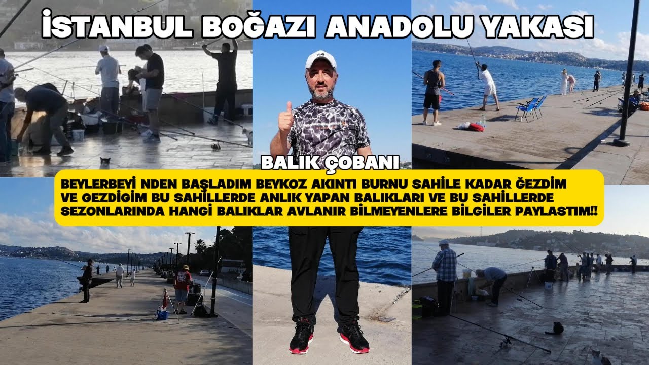 İST. BOĞAZI ANADOLU YAKASI GEZDİGİM SAHİLLER BALIK YAPIYORMU? BU SAHİLLERDE HANGİ BALIKLAR AVLANIR