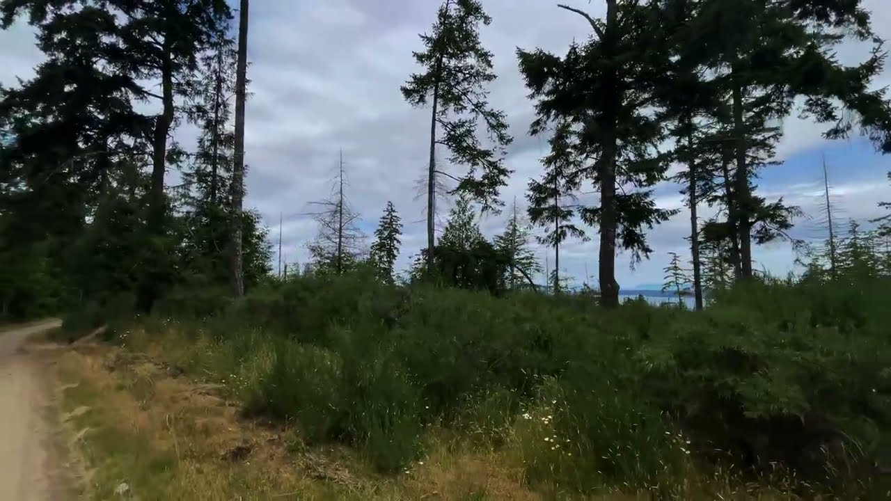 Peaceful Forest Hike to Crofton Lake | ASMR Nature Walk with Chip on Vancouver Island