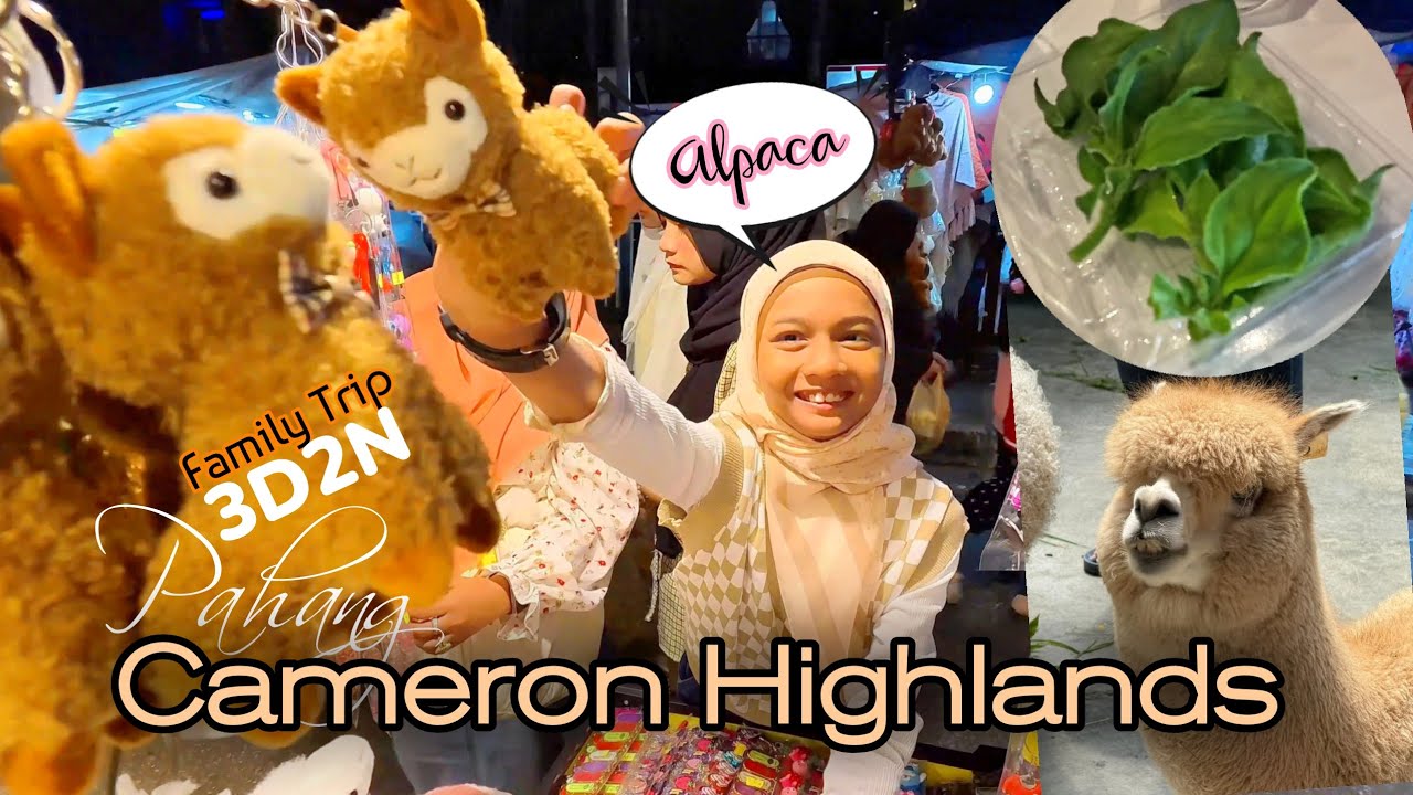 CAMERON HIGHLANDS MALAYSIA | Family Trip 3 Days 2 Nights.
