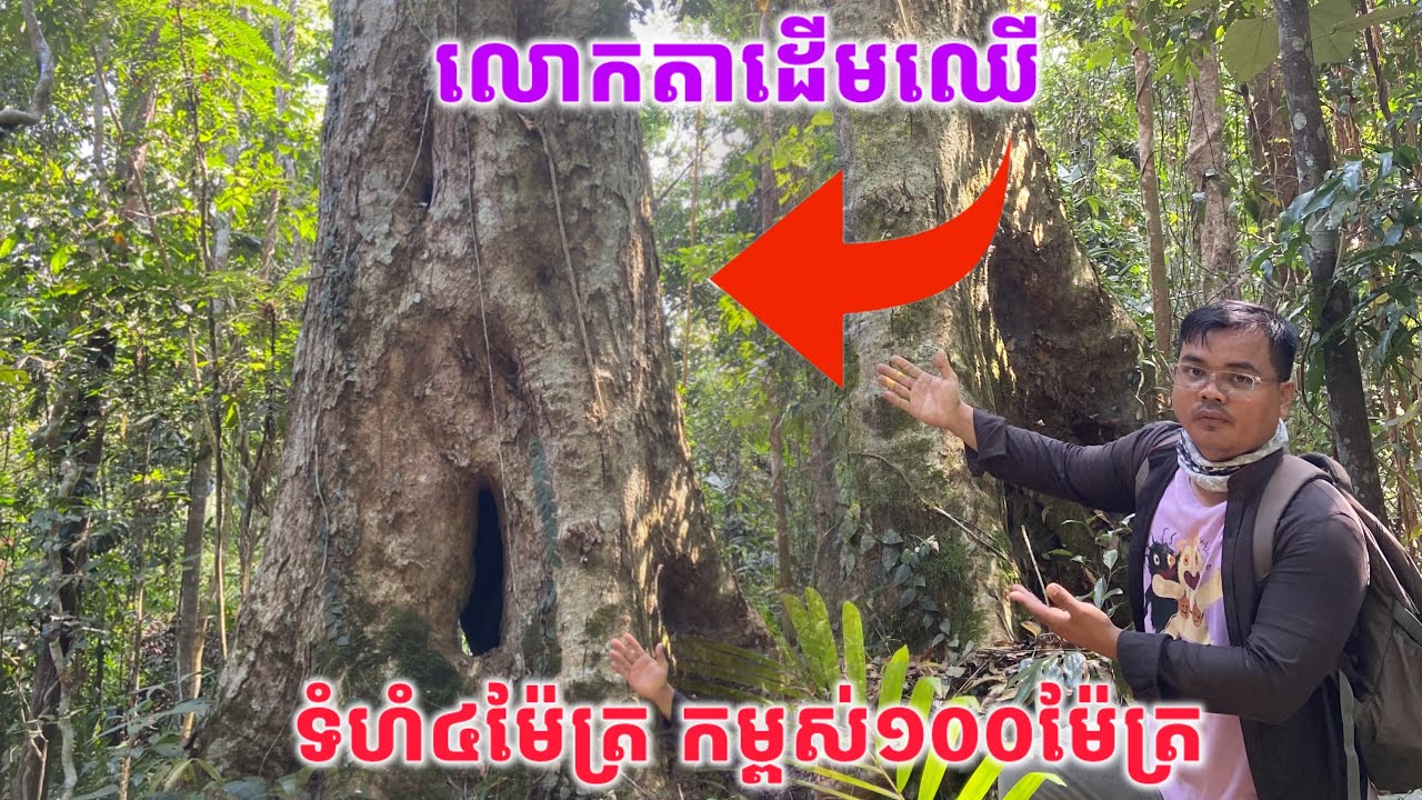 ជួបលោកតាដេីមឈេីនៅលេីភ្នំខ្មោច​ ទំហំ៤ម៉ែត្រ​ កម្ពស់១០០ម៉ែត្រ​ ជាកន្លែងទេវតារស់នៅ