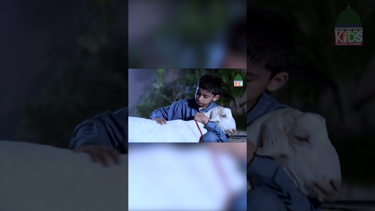 Bache Ka Bakray say Pyar 😭 | #shorts Bakra Eid 2021