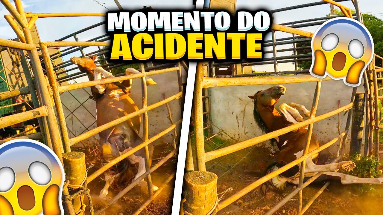 SE FOR FRACO N&Atilde;O ASSISTA ! GRAVEI O ACIDENTE DO CAVALO