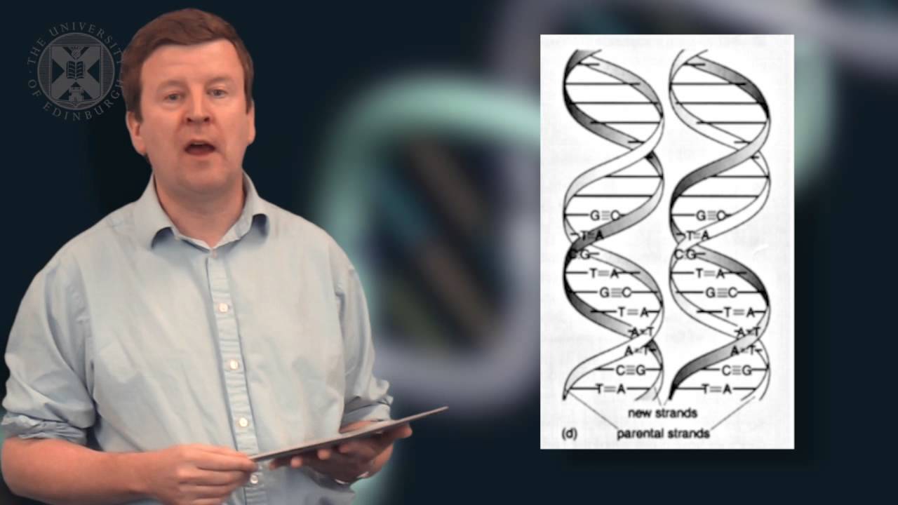 1.6. ASTROBIO - The Structure of Life: Cells