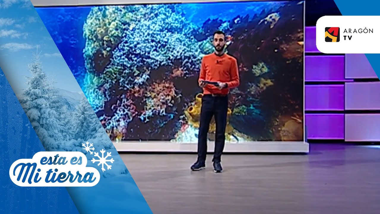 Un documental producido por el Instituto Español de Oceanografía