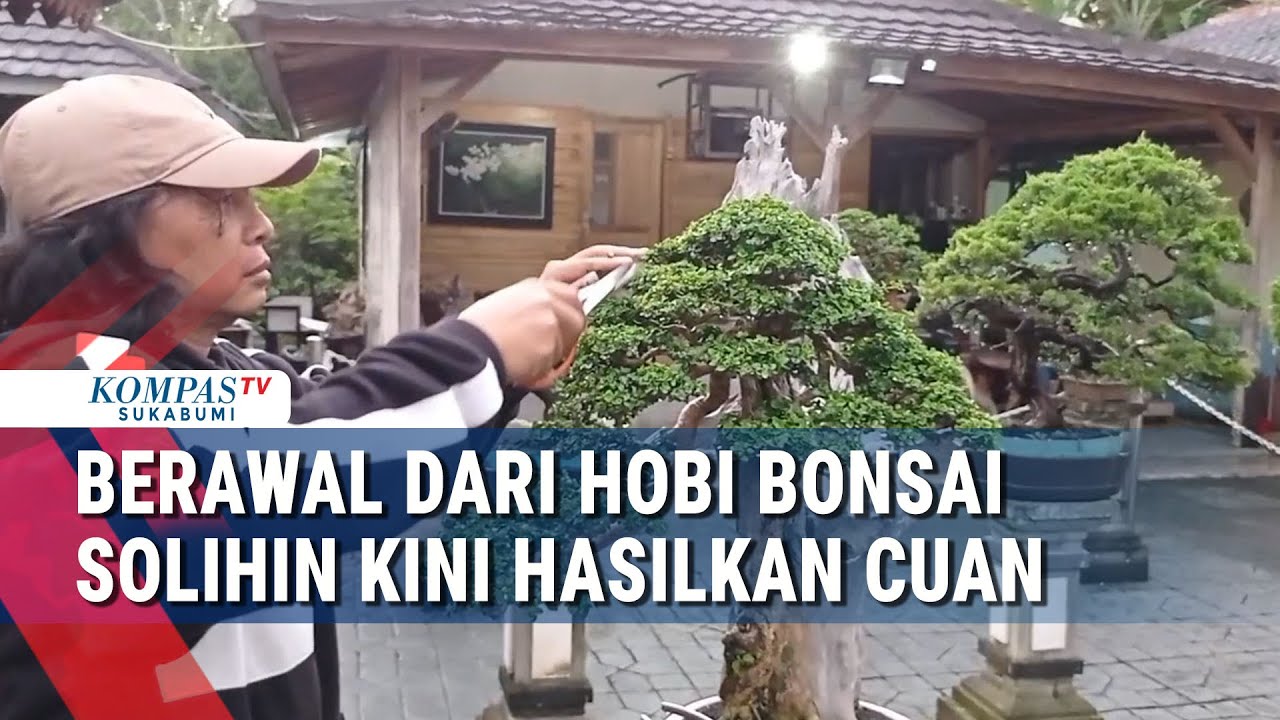 Berawal Dari Hobi Bonsai Solihin Kini Hasilkan Cuan