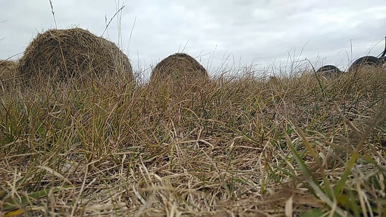 Прицеп для транспортировки сена в рулонах.