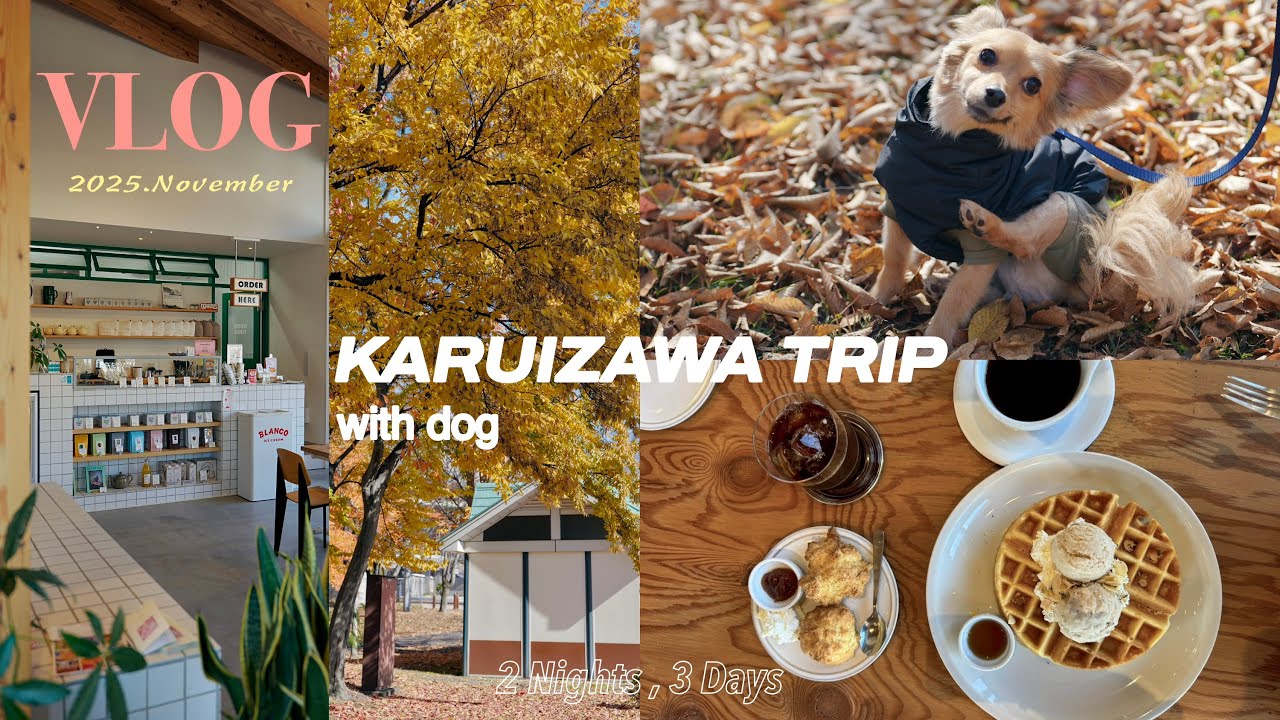 犬連れ必見！愛犬と行く軽井沢2泊3日モデルコース🍁旅行vlog｜グルメも観光も大満喫のわんこ旅🐶