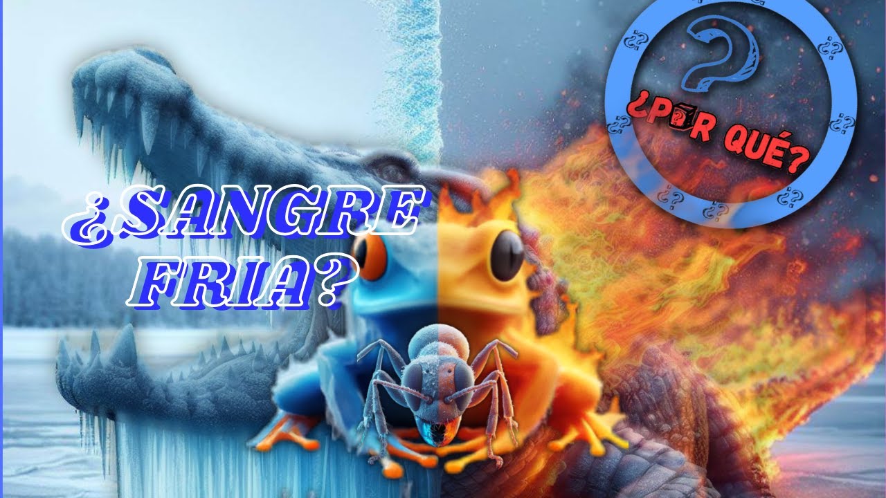 ¿Por qué son de sangre fría?