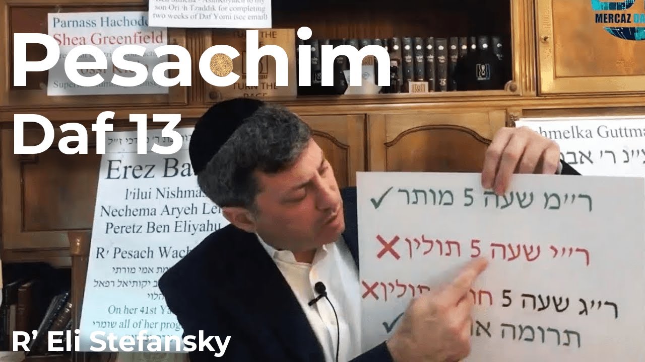 Daf Yomi Pesachim Daf 13 by R&rsquo; Eli Stefansky