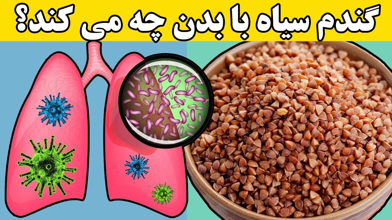 گندم سیاه با بدن چه می کند؟  خواص مفید گندم سیاه