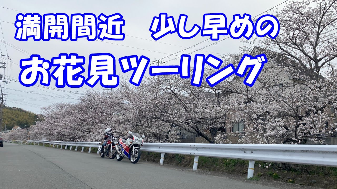 地元で満開ではない桜を観に行った件 FZR400R ZeaL