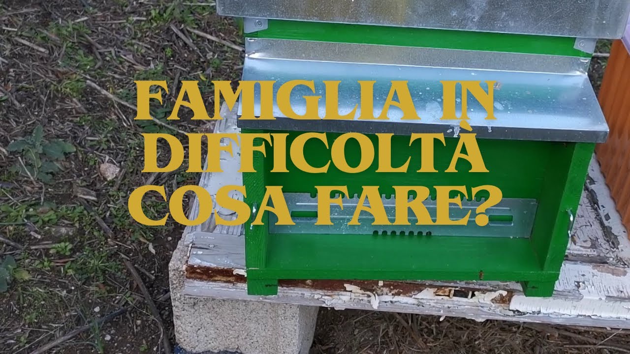 Famiglia in difficoltà cosa fare?