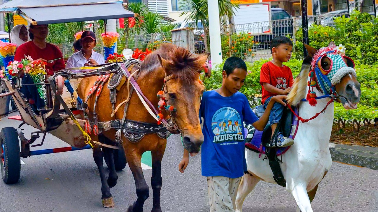 СПЕЦИАЛЬНАЯ КОННАЯ ПРОГУЛКА С ЛОШАДЬЮ ДЕЛМАНА 🐎 ДЕТСКАЯ ПЕСНЯ - ЛОШАДЬ ДЕЛМАНА