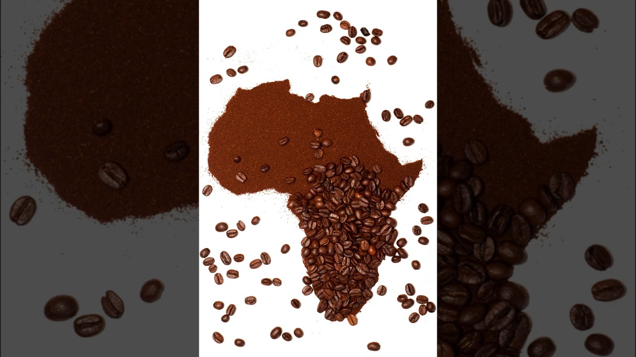 D'AFRIQUE A L'EUROPE