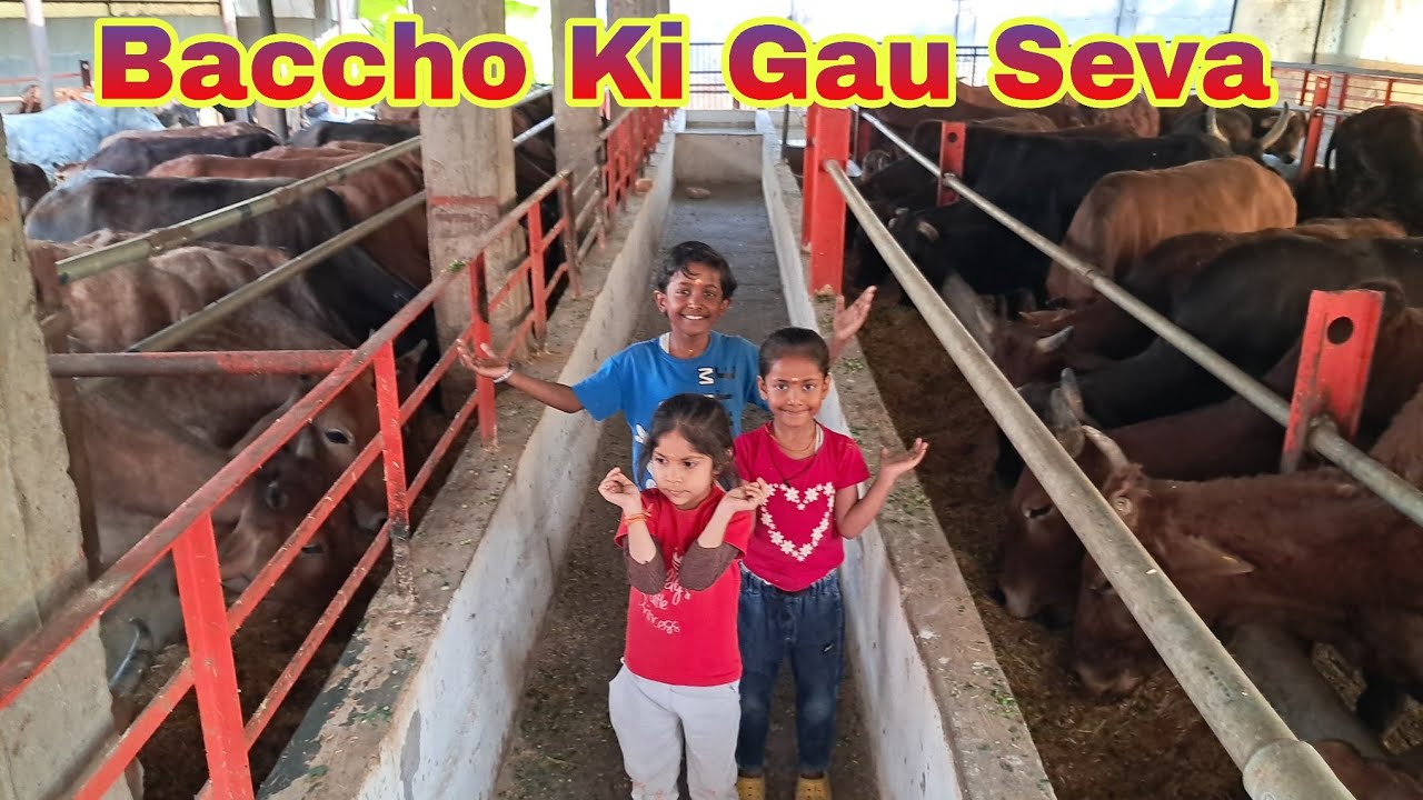Baccho Ki Gau Seva 🐮 | Gaushala Cows Seva Importance 🙏🏻 | Kids Gaushala Tour | Kids Learn Gau Seva 😍