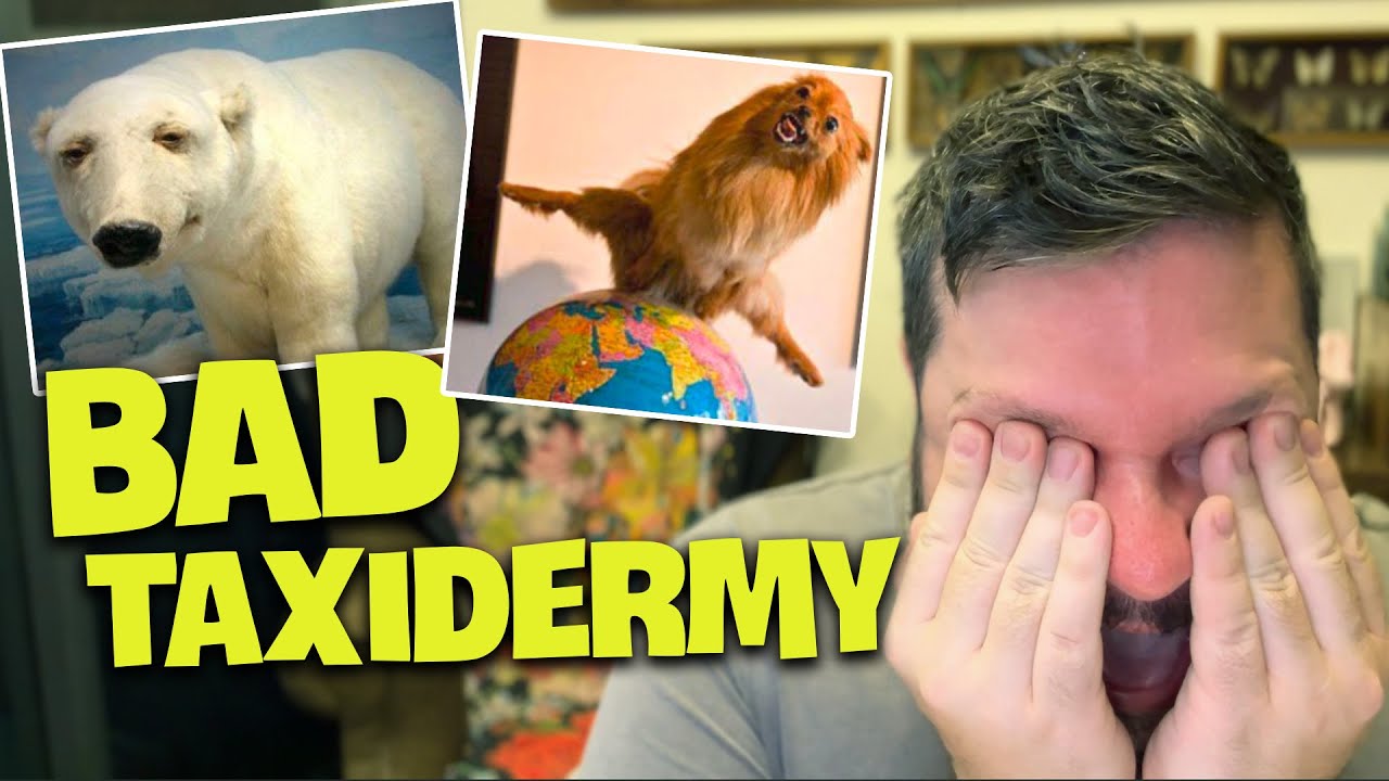 Reacting To Bad Taxidermy