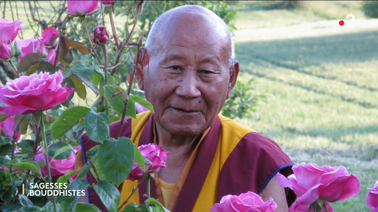 Vie et parcours de Guéshé Lobsang Tengyé, part 1 et 2-2 -  Sagesses bouddhistes - France 2