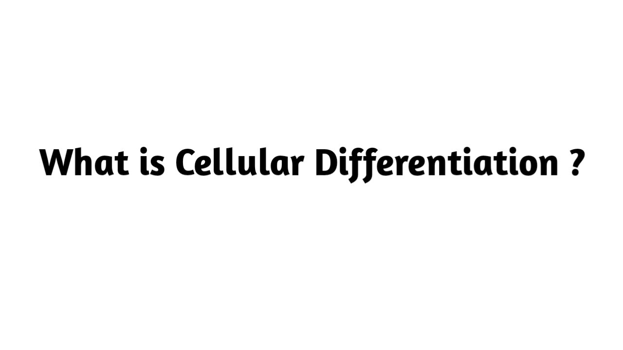 What is Cellular Differentiation ?