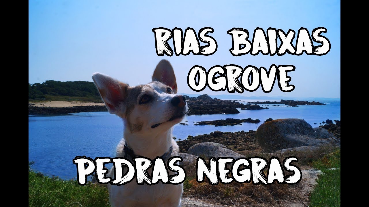 1.GALICIA| R&iacute;as Baixas-O Grove | Rutas Perras