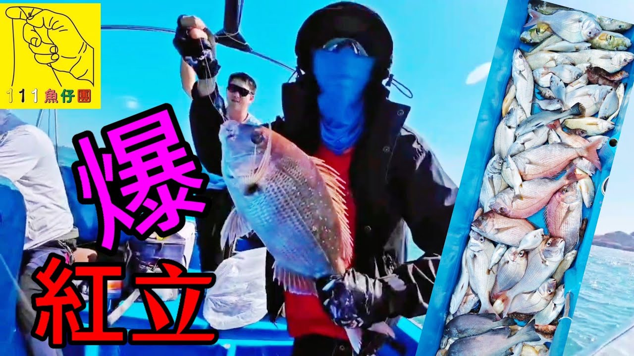 爆紅立#釣魚 