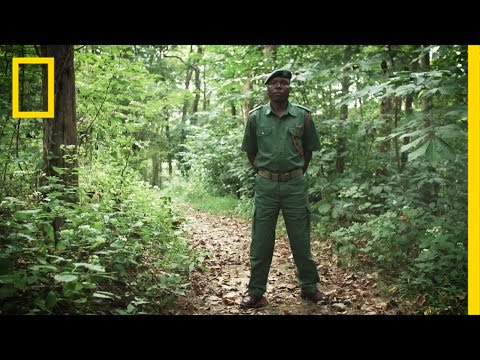 Fighting Wildlife Crime: Rangers Face Serious Dangers | National Geographic