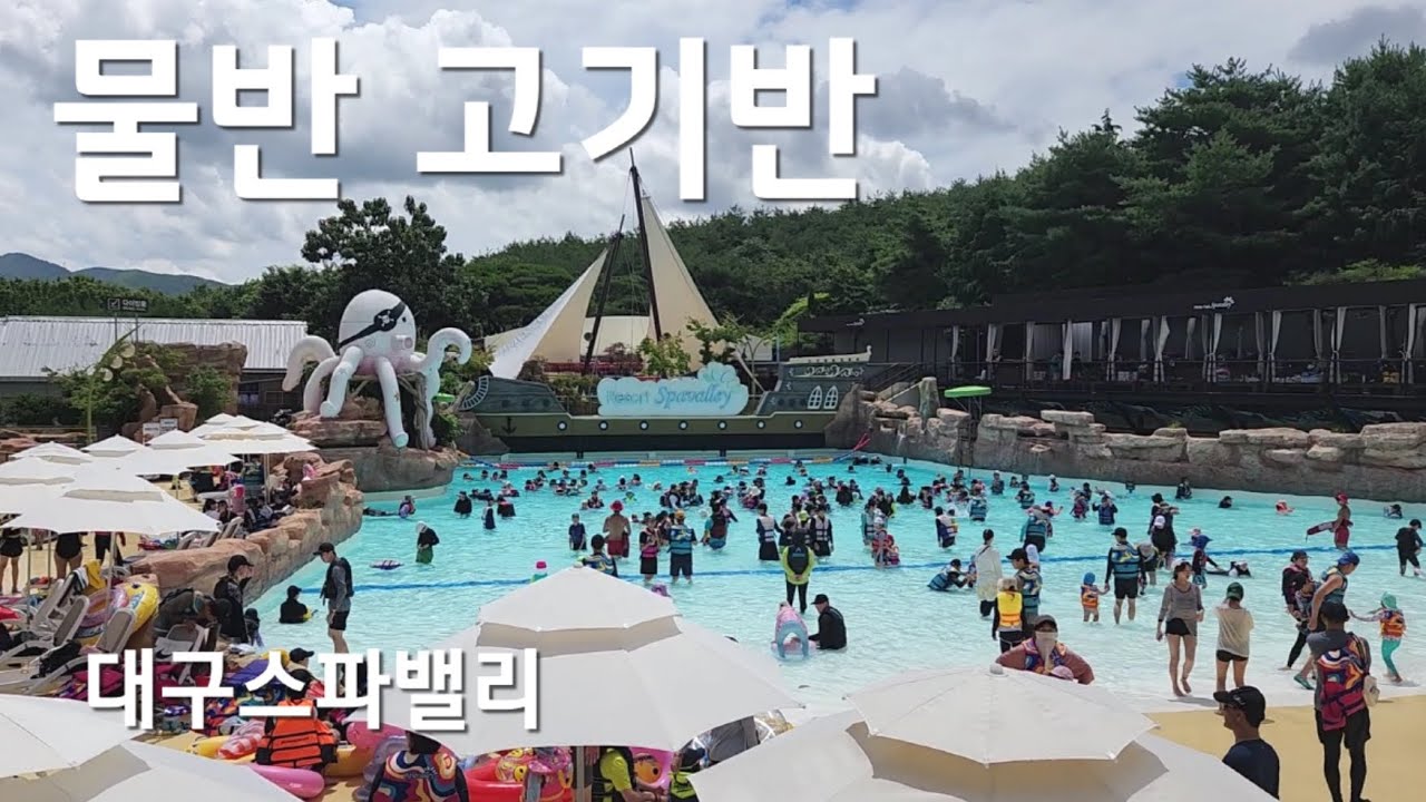 2025년 7월 대구 스파밸리 (물반 고기반)