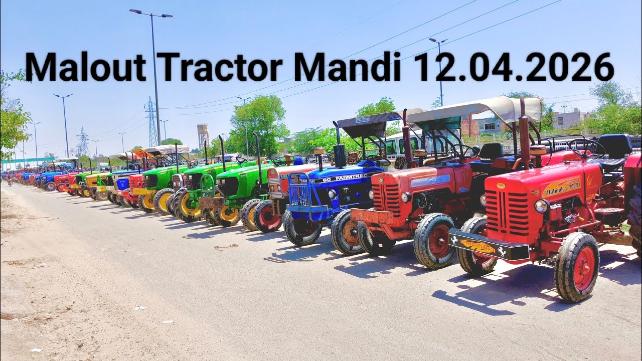 Malout Tractor Mandi 12.04.2026/Second hand best condition Tractors bazzar 