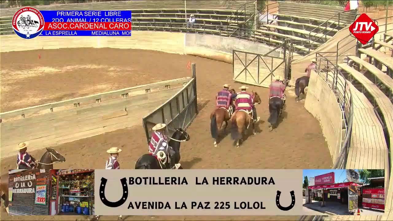 PRIMERA SERIE  LIBRE  ASOC.CARDENAL CARO